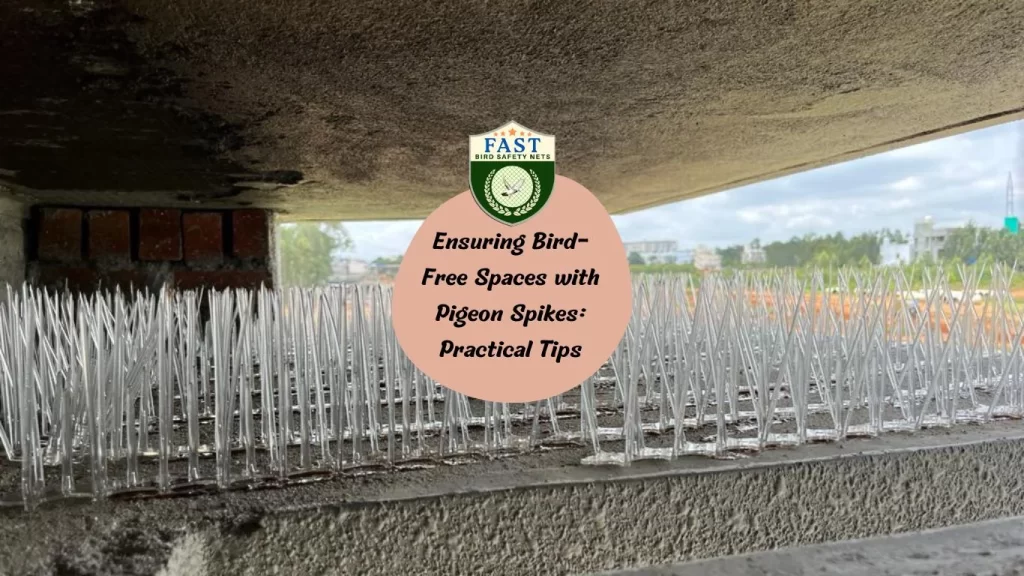 Ensuring Bird-Free Spaces with Pigeon Spikes: Practical Tips