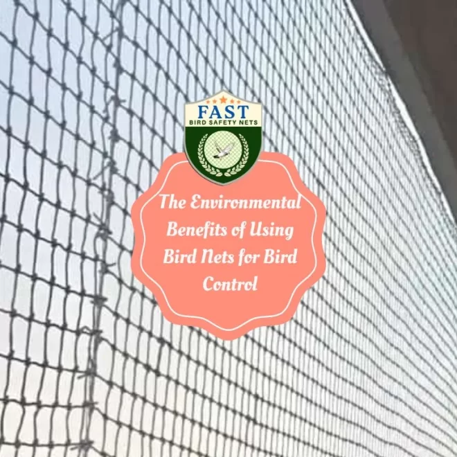 The Environmental Benefits of Using Bird Nets for Bird Control
