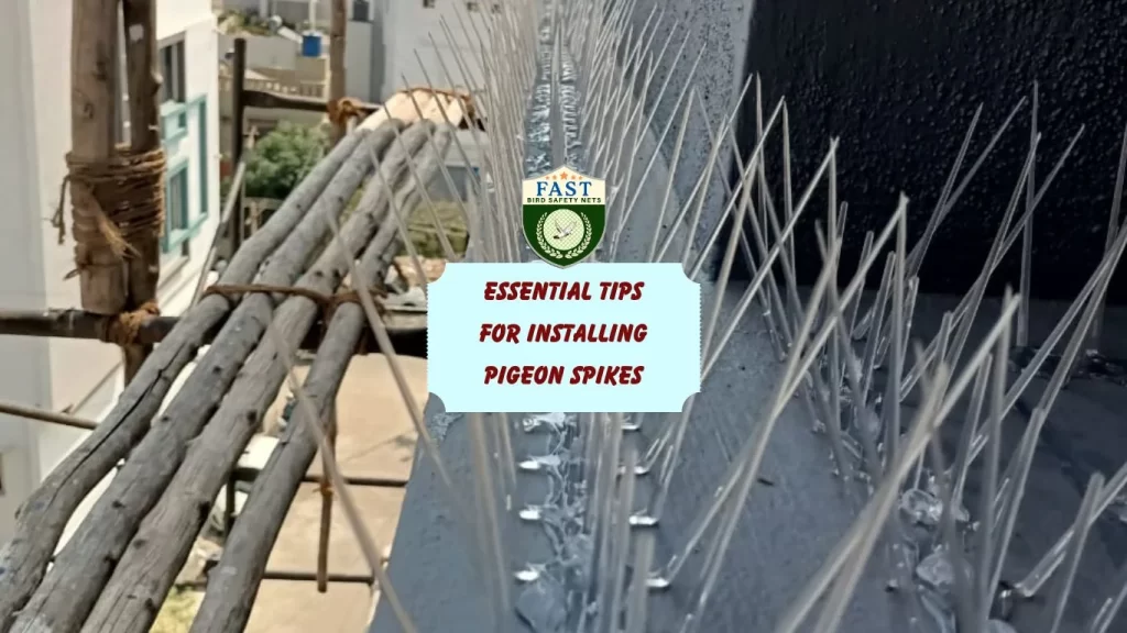 Essential Tips for Installing Pigeon Spikes