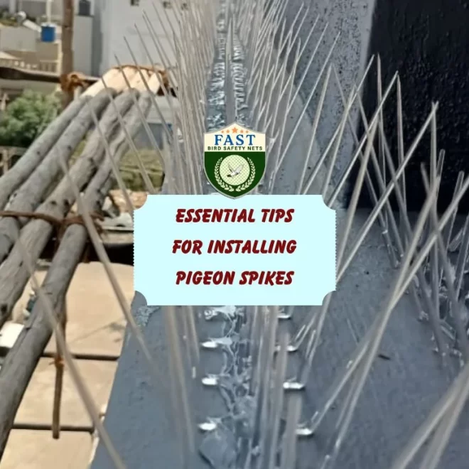 Essential Tips for Installing Pigeon Spikes