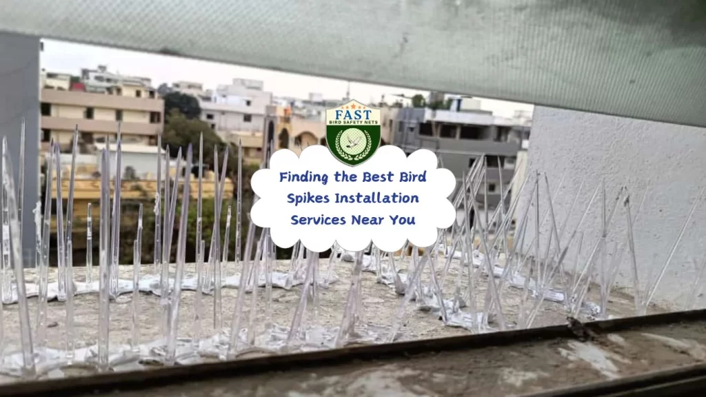 Finding the Best Bird Spikes Installation Services Near You