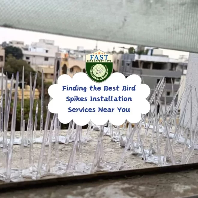 Finding the Best Bird Spikes Installation Services Near You