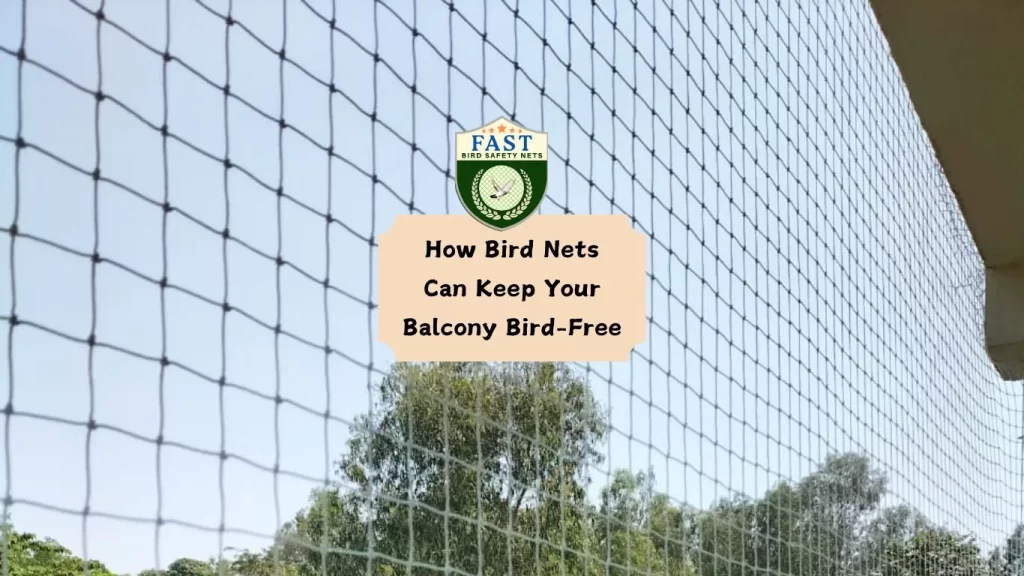 How Bird Nets Can Keep Your Balcony Bird-Free