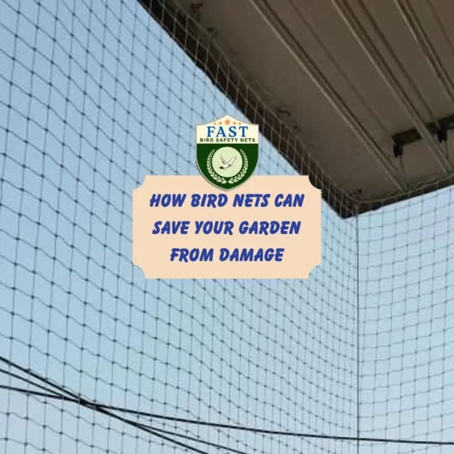 How Bird Nets Can Save Your Garden from Damage