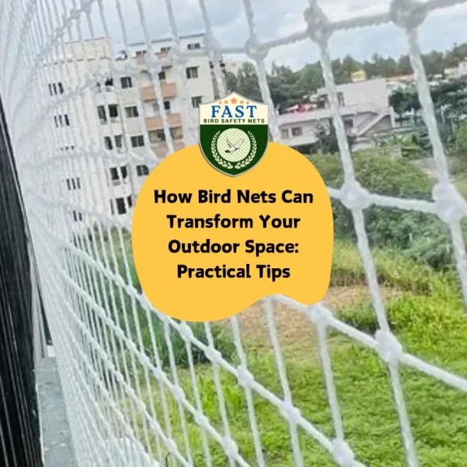 How Bird Nets Can Transform Your Outdoor Space: Practical Tips