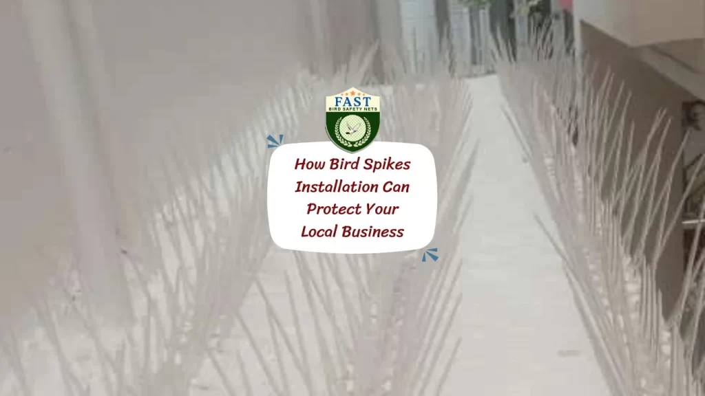 How Bird Spikes Installation Can Protect Your Local Business