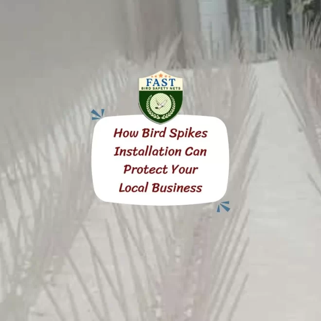 How Bird Spikes Installation Can Protect Your Local Business