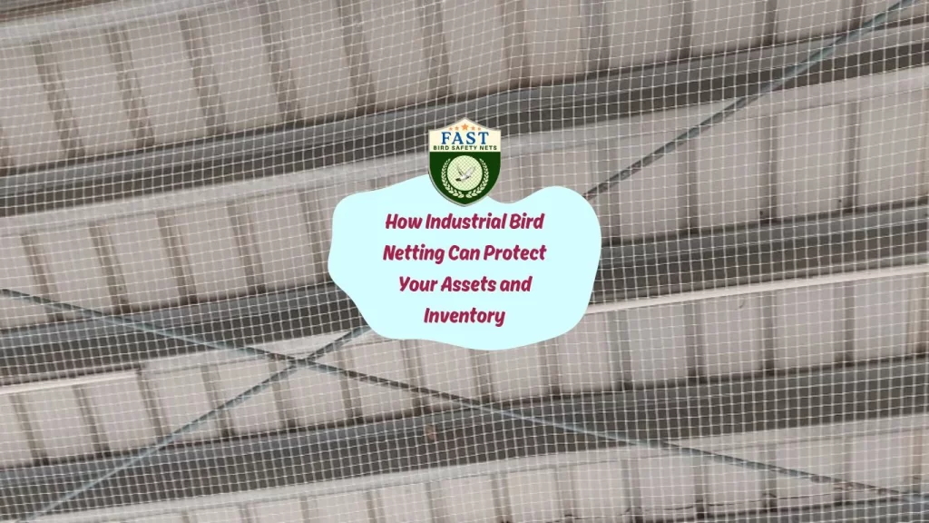 How Industrial Bird Netting Can Protect Your Assets and Inventory