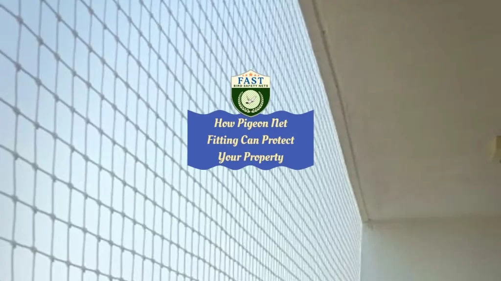 How Pigeon Net Fitting Can Protect Your Property