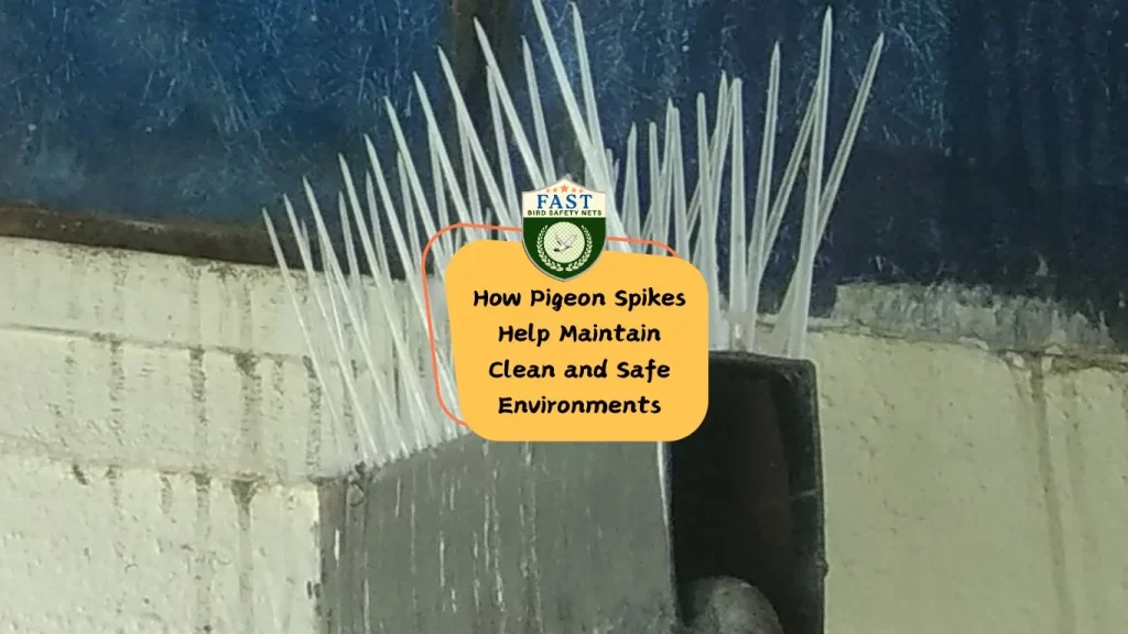 How Pigeon Spikes Help Maintain Clean and Safe Environments