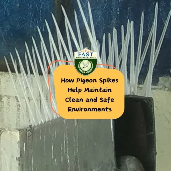 How Pigeon Spikes Help Maintain Clean and Safe Environments