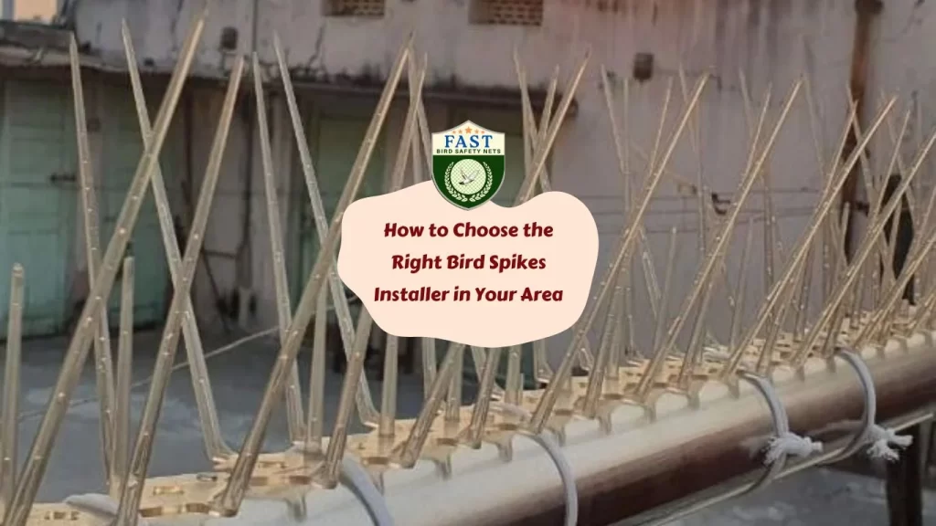 How to Choose the Right Bird Spikes Installer in Your Area