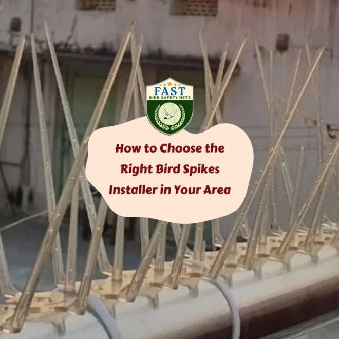 How to Choose the Right Bird Spikes Installer in Your Area