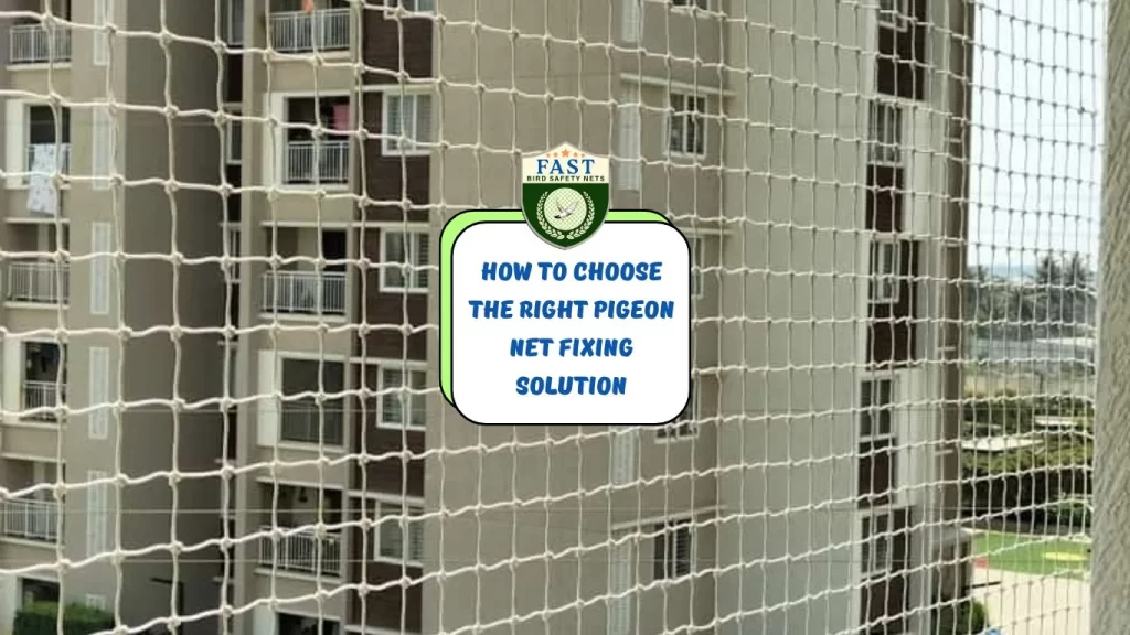 How to Choose the Right Pigeon Net Fixing Solution