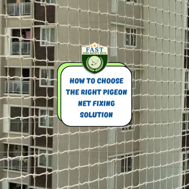 How to Choose the Right Pigeon Net Fixing Solution