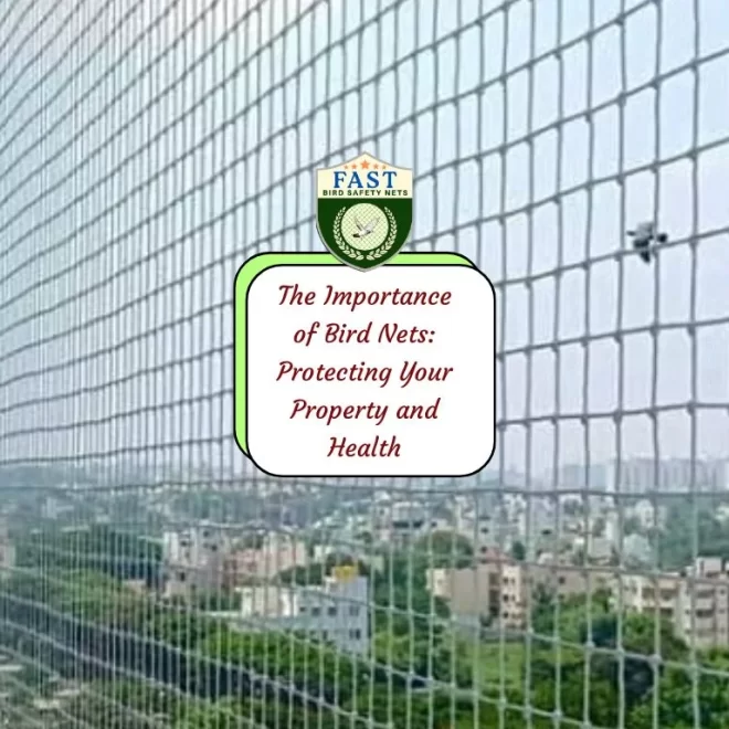The Importance of Bird Nets: Protecting Your Property and Health
