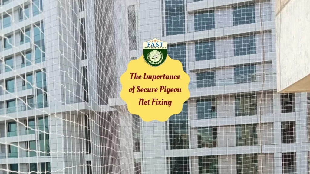 The Importance of Secure Pigeon Net Fixing