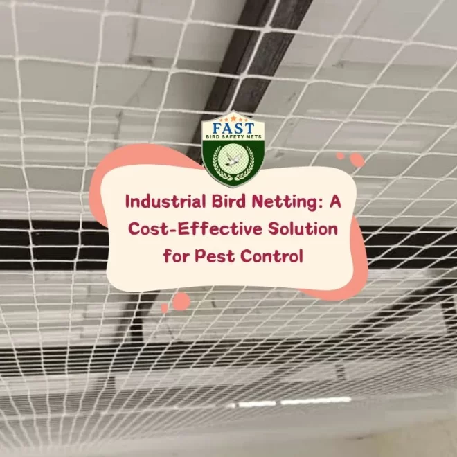 Industrial Bird Netting: A Cost-Effective Solution for Pest Control