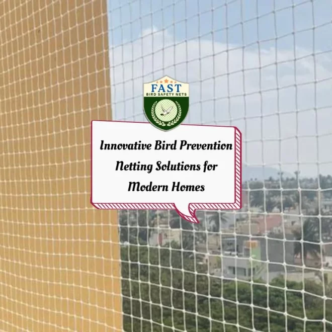 Innovative Bird Prevention Netting Solutions for Modern Homes