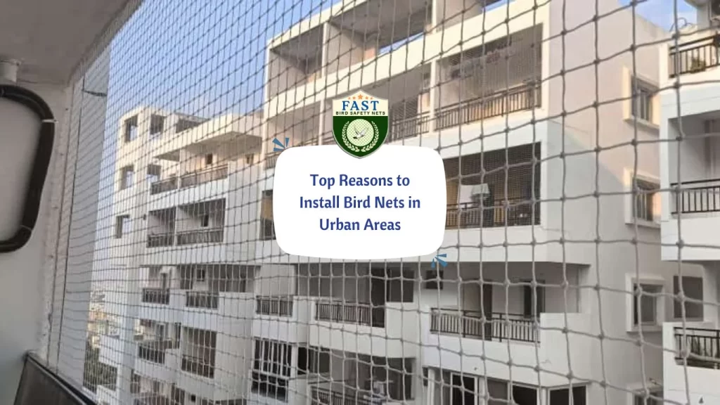 Top Reasons to Install Bird Nets in Urban Areas