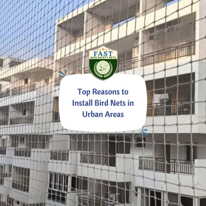 Top Reasons to Install Bird Nets in Urban Areas