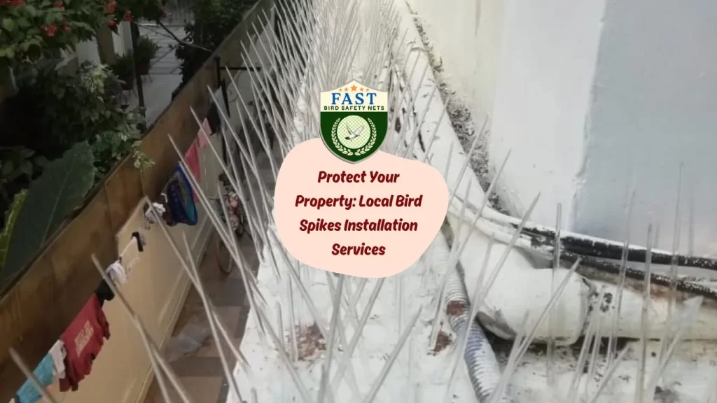 Protect Your Property: Local Bird Spikes Installation Services