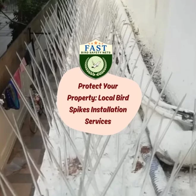 Protect Your Property: Local Bird Spikes Installation Services