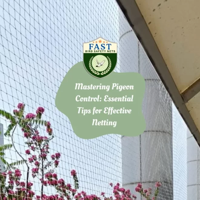 Mastering Pigeon Control: Essential Tips for Effective Netting
