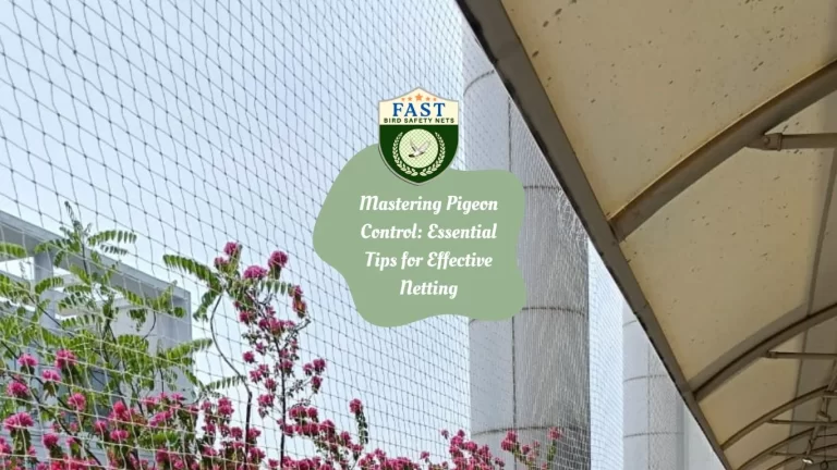 Mastering Pigeon Control: Essential Tips for Effective Netting