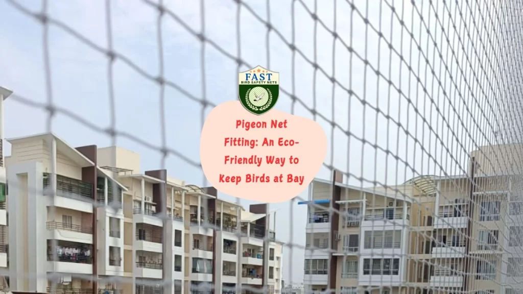 Pigeon Net Fitting: An Eco-Friendly Way to Keep Birds at Bay