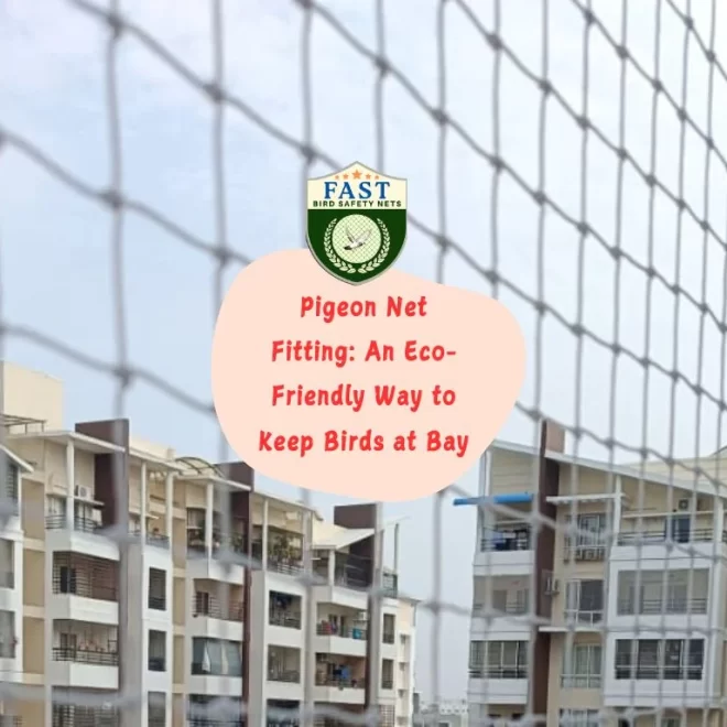 Pigeon Net Fitting: An Eco-Friendly Way to Keep Birds at Bay