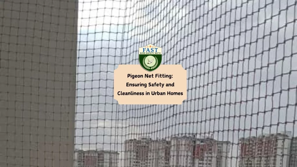 Pigeon Net Fitting: Ensuring Safety and Cleanliness in Urban Homes