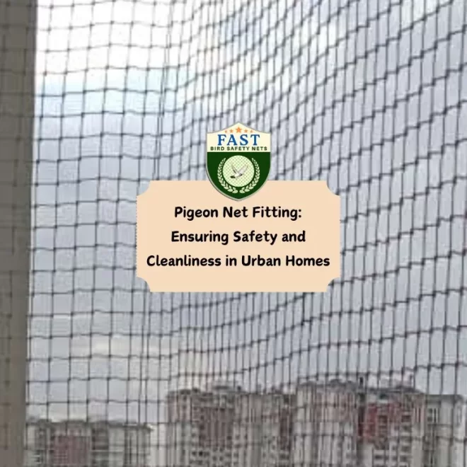 Pigeon Net Fitting: Ensuring Safety and Cleanliness in Urban Homes