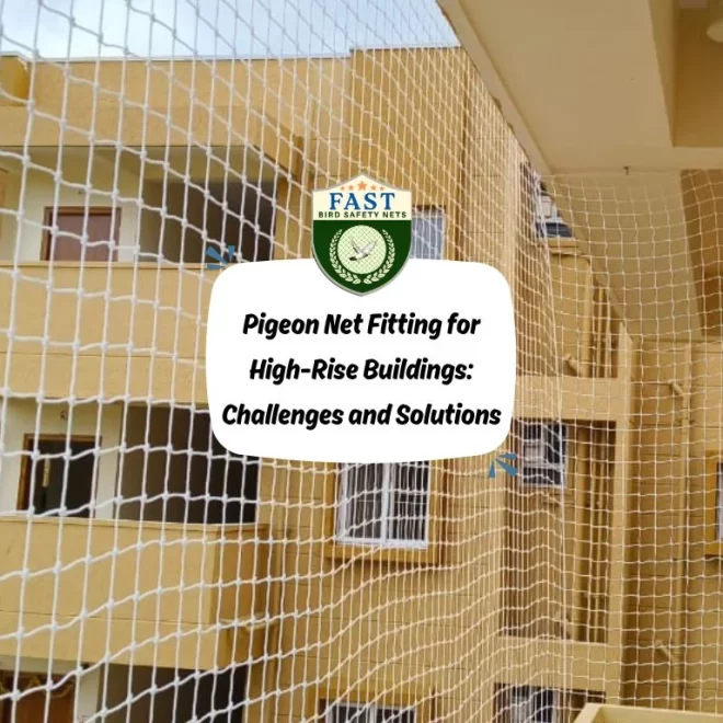 Pigeon Net Fitting for High-Rise Buildings: Challenges and Solutions