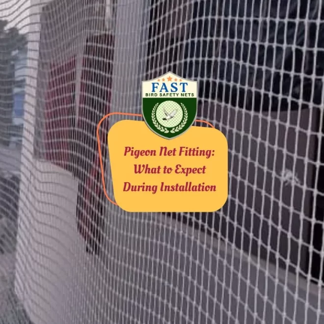 Pigeon Net Fitting: What to Expect During Installation