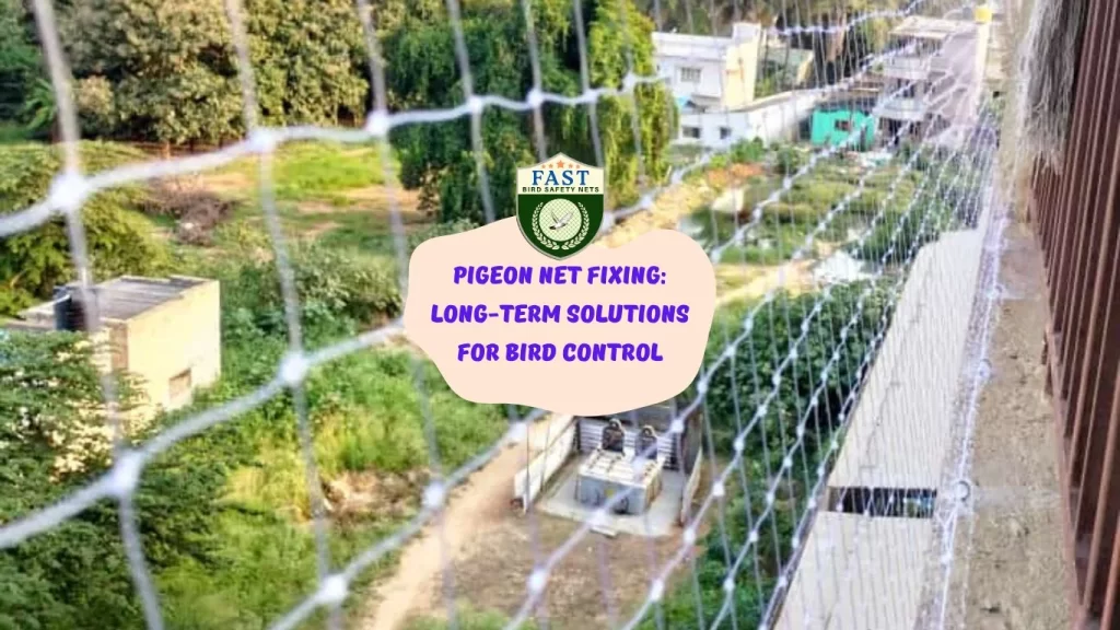 Pigeon Net Fixing: Long-Term Solutions for Bird Control