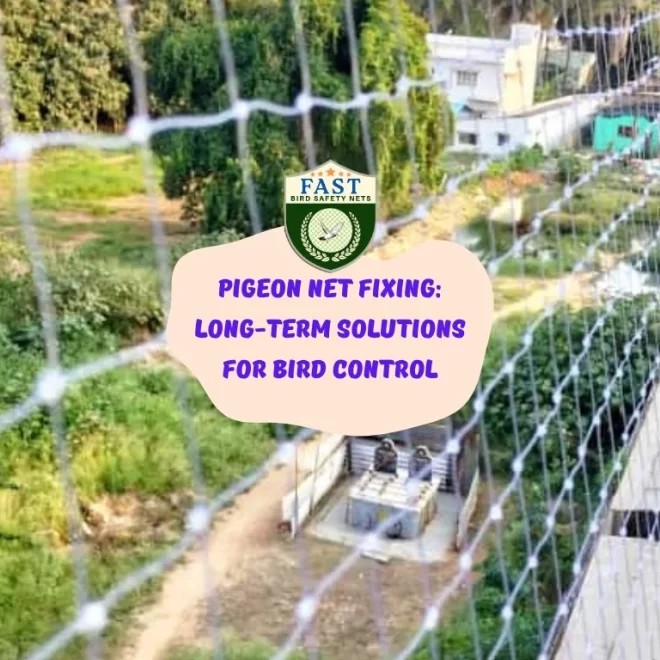 Pigeon Net Fixing: Long-Term Solutions for Bird Control