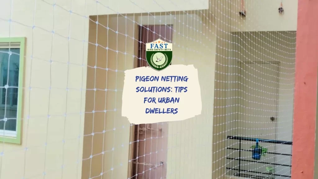 Pigeon Netting Solutions: Tips for Urban Dwellers