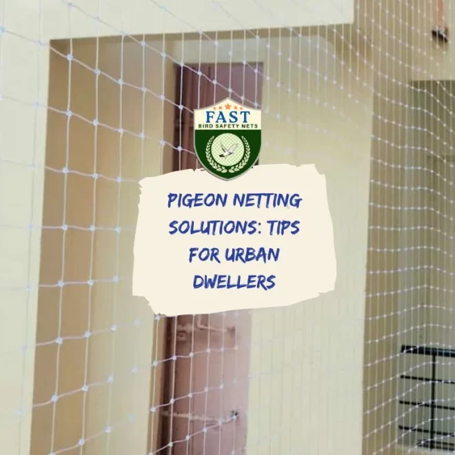 Pigeon Netting Solutions: Tips for Urban Dwellers