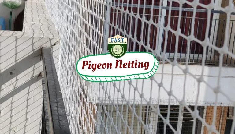 Safeguarding Your Space: Expert Pigeon Netting Tips