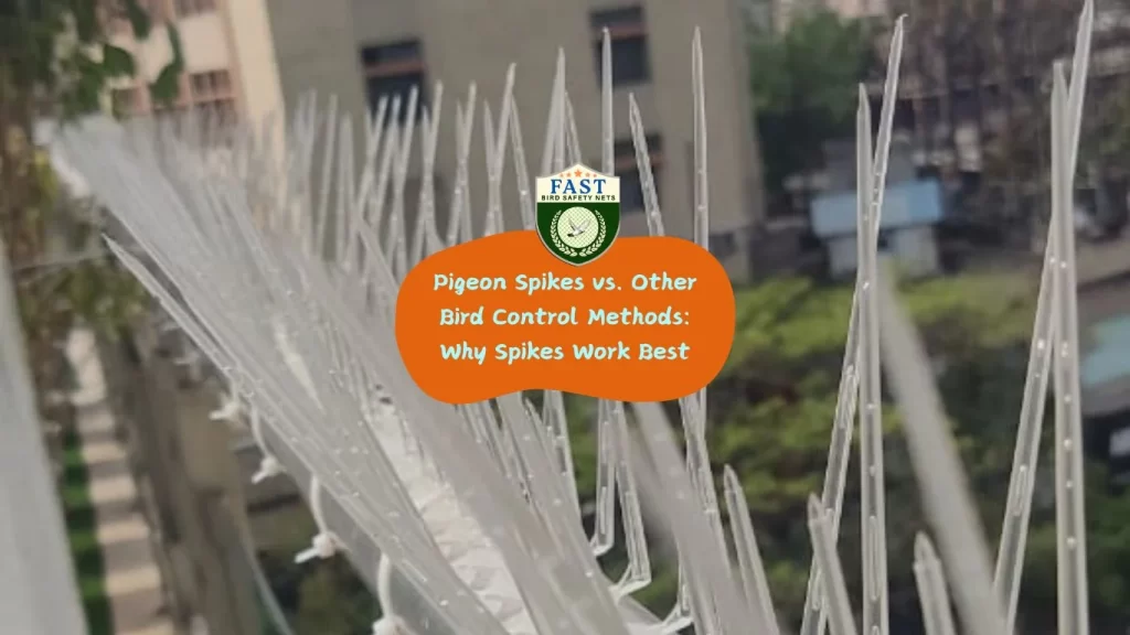 Pigeon Spikes vs. Other Bird Control Methods: Why Spikes Work Best