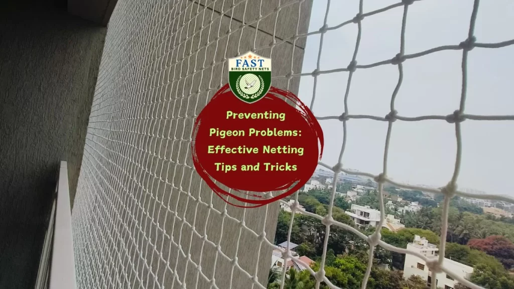 Preventing Pigeon Problems: Effective Netting Tips and Tricks