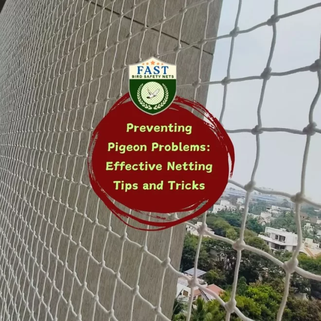 Preventing Pigeon Problems: Effective Netting Tips and Tricks