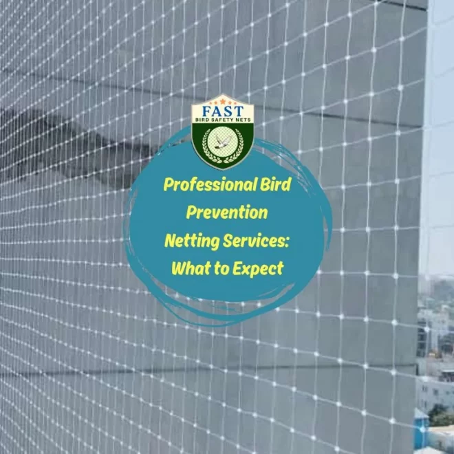 Professional Bird Prevention Netting Services: What to Expect