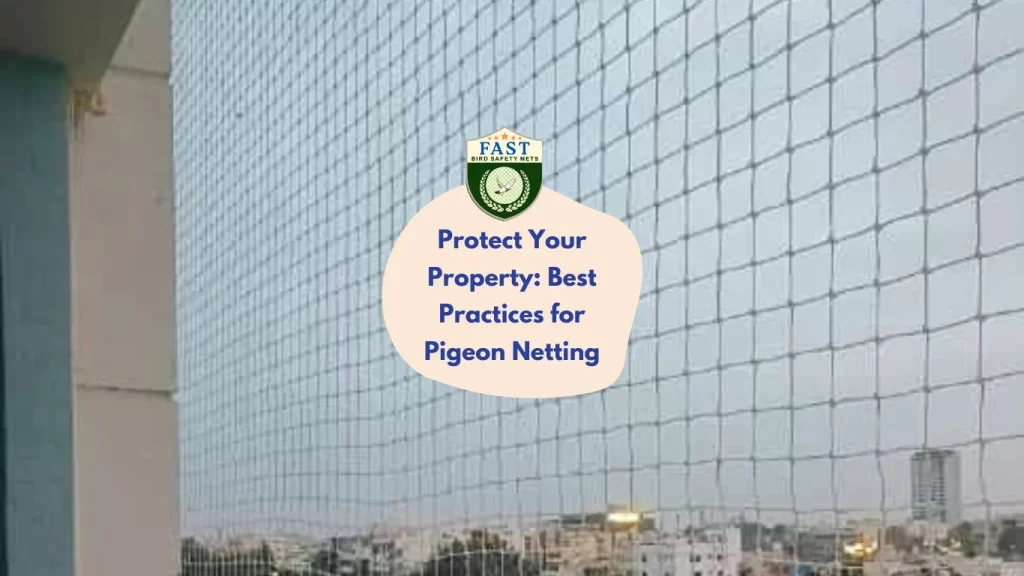 Protect Your Property: Best Practices for Pigeon Netting