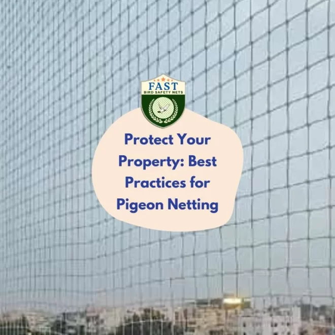 Protect Your Property: Best Practices for Pigeon Netting