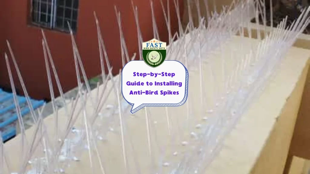 Step-by-Step Guide to Installing Anti-Bird Spikes