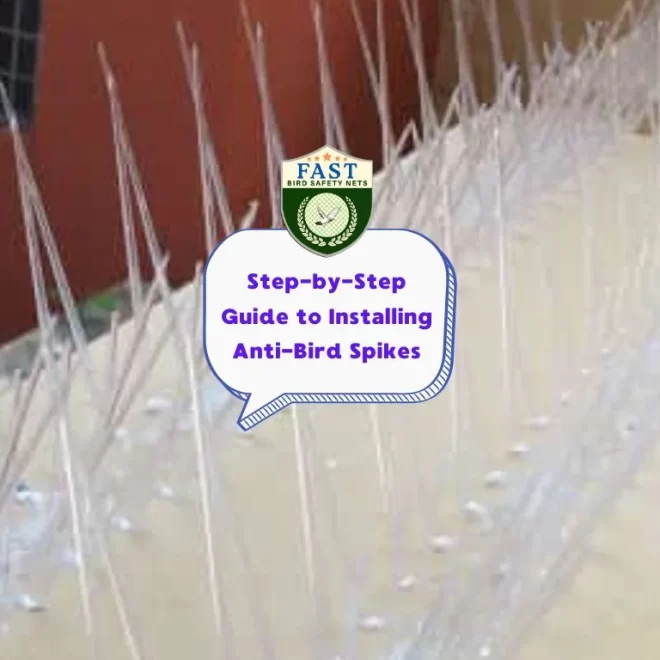 Step-by-Step Guide to Installing Anti-Bird Spikes