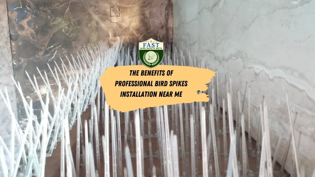 The Benefits of Professional Bird Spikes Installation Near Me