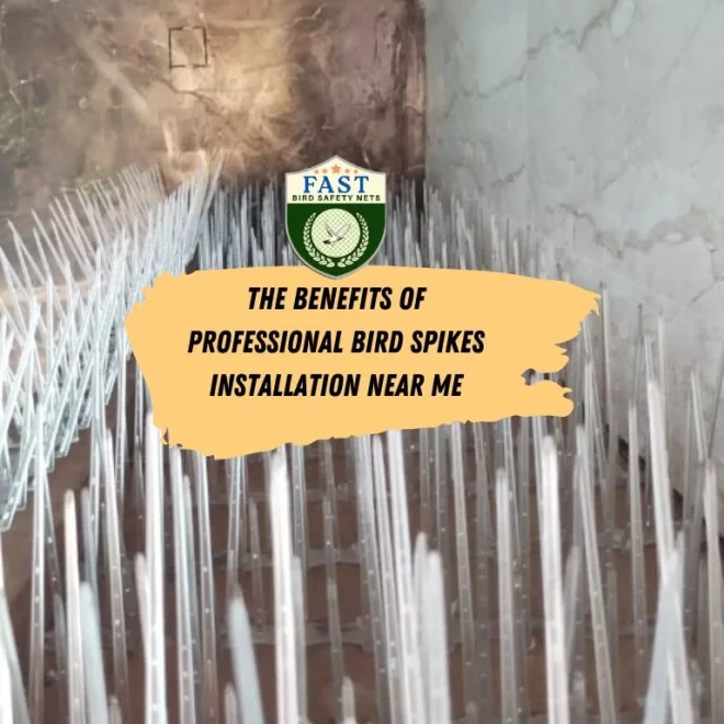 The Benefits of Professional Bird Spikes Installation Near Me